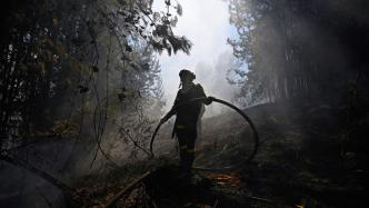 为应对气候变化和森林火灾，哥伦比亚发布国家灾害法令