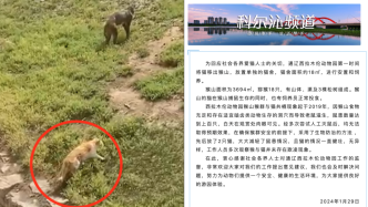 内蒙古通辽通报“动物园猴猫共栖息”：2只猫已移出猴山
