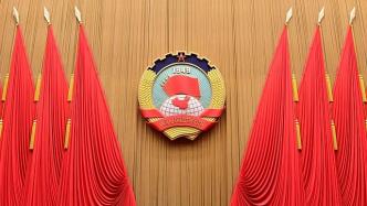 王小军被撤销政协第十四届全国委员会委员资格
