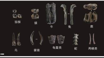 视野｜“2023年中国考古新发现”揭晓，这些发现令人惊叹