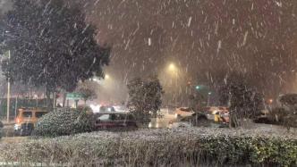受降雪影响，河南多条高速禁止车辆上站