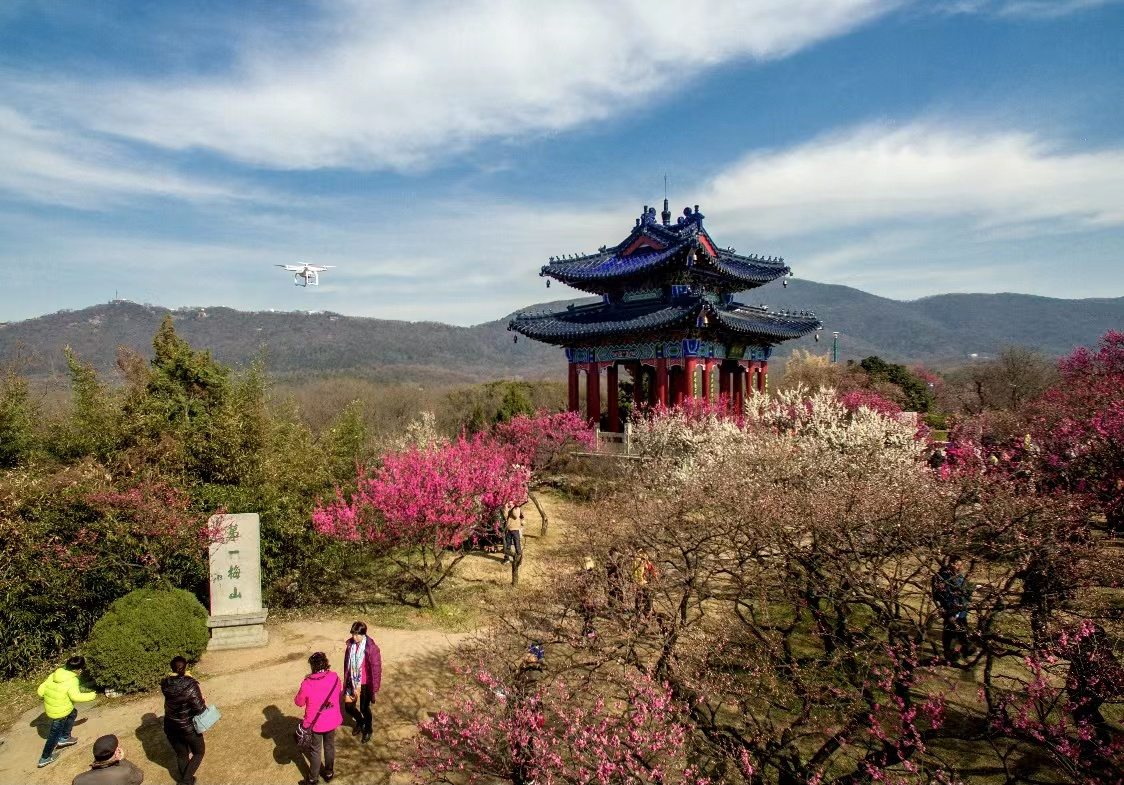 超山梅园门票图片