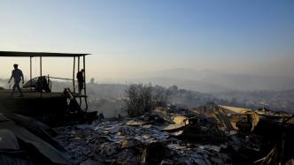 智利森林火灾已致46人死亡、超200人失踪