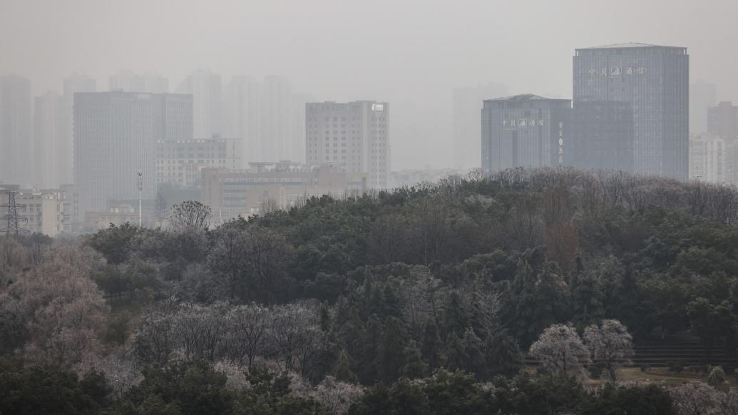 专家解读：南方下雪为什么更容易导致灾害