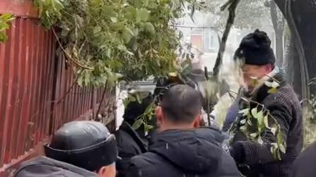 为何武汉会出现这么多断枝？专家：是冻雨天气危害之一