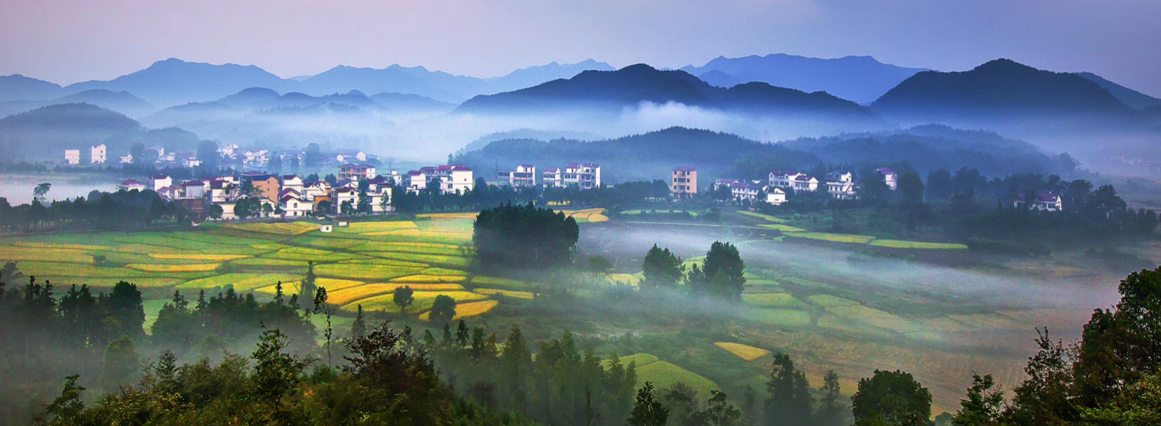 南昌安义:一个人口30万的小县,为何铝博会越办越好?