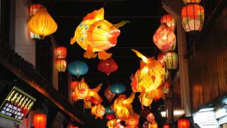鱼灯在老街上空游走，上海南翔举办“花千树鱼龙舞”灯彩展
