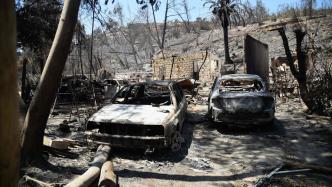 智利林火已致131人遇难，联合国：系该国史上最致命火灾