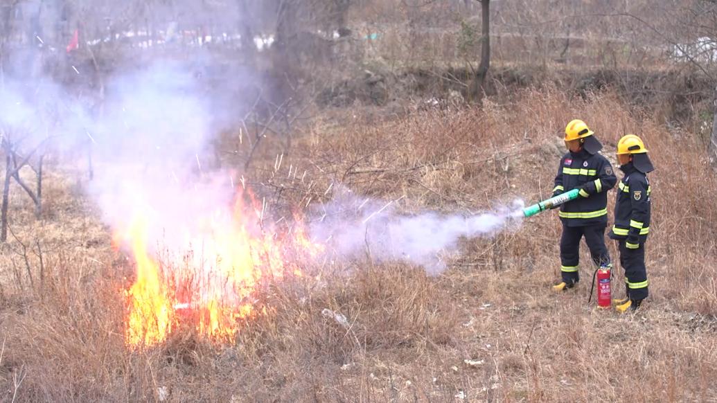 “网红”烟花加特林、银色珍珠如何燃放？消防：请远离可燃物