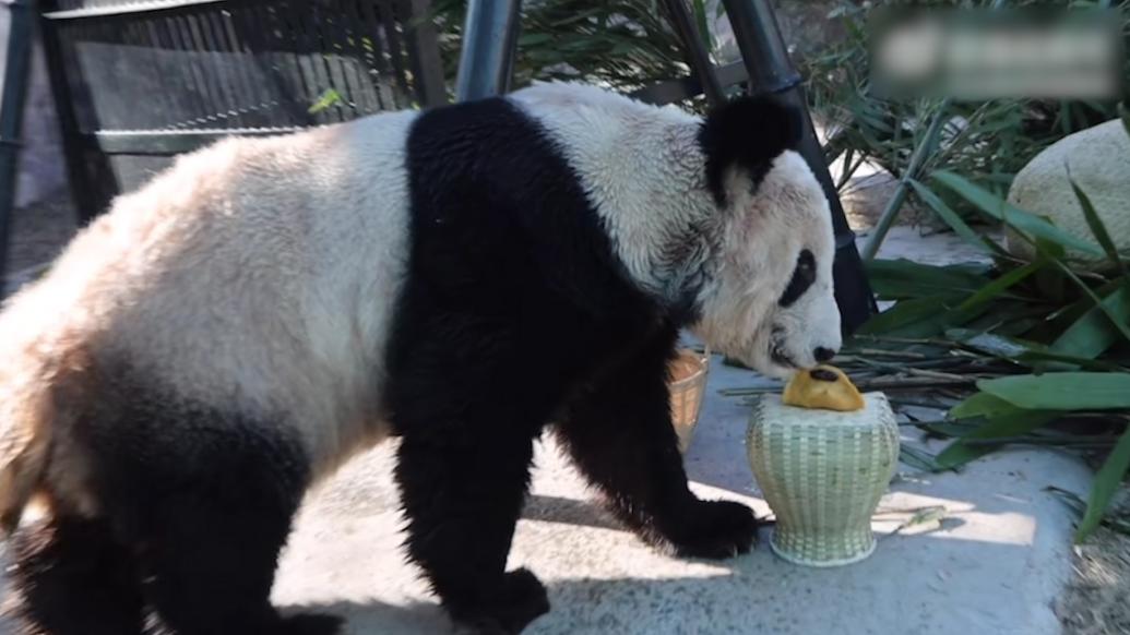 “丫丫”回国后的第一个除夕，吃上了家乡的大饺子