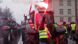不满欧盟政策，波兰和匈牙利农民抗议示威