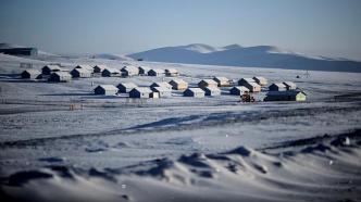 蒙古国进入防灾高度戒备状态，极端天气致超50万头牲畜死亡