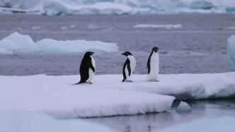 去南极的年轻人，花10万“重启人生”？