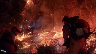 贵州境内两起森林火灾已扑灭：消防员转战300余公里