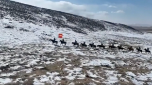 雪域高原，火箭军骑兵部队在巡逻路上迎接新春