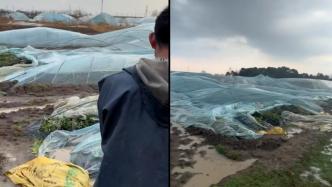 安徽長豐遭遇強對流天氣，草莓種植戶：大風冰雹致大棚被掀翻