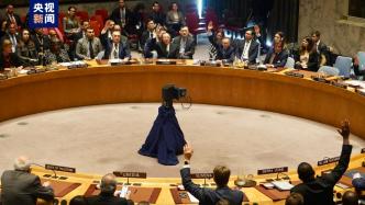 联合国安理会加沙决议的草案再遭美国一票否决