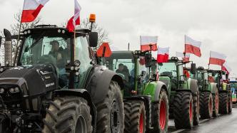 欧盟多国农民抗议农业政策，冯德莱恩连任之路或遇阻