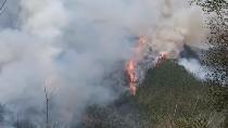 广西乐业发生森林火灾当地千人扑救，过火面积大约2千多亩