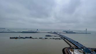 上海邮轮口岸重现国际邮轮“四船同靠”，是哪四艘？