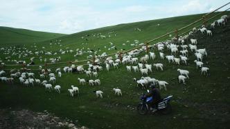 职业农牧民职称评审在内蒙古全区推广：已有1678人获评