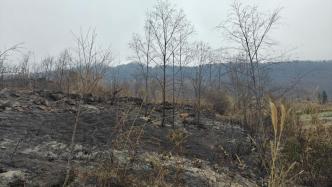 直播丨贵州221起森林火情全部扑灭，部分地区冻雨来袭