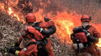 广西乐业县森林火灾已全部扑灭，森林消防队伍正有序撤离火场