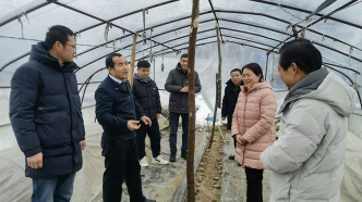 中国农科院专家团赴湖北等地助力尽快恢复蔬菜生产