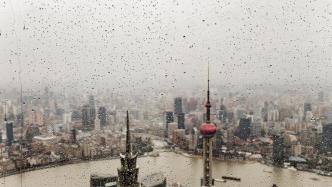 上海今日气温骤降最高温仅10℃左右，雷雨大风一个都不少