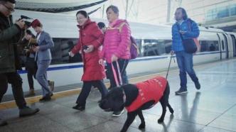 明星导盲犬珍妮去世，曾推动导盲犬走进公共场所