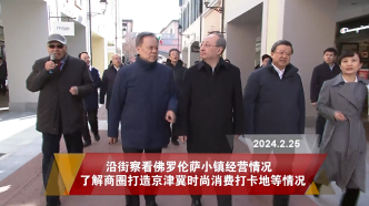 京津冀党政主要领导联合调研天津武清，去了哪些地方