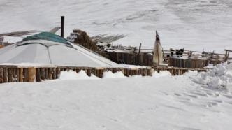 蒙古国严寒与暴风雪天气已致超200万头牲畜死亡