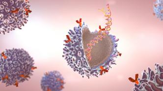 追问｜CAR-T超越血液瘤，展现“治愈”自身免疫性疾病潜力？