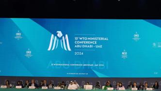 WTO总干事调低对部长级会议成果预期：这是一段艰难时期