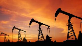 中石油经研院：能源商品价格将继续波动，今年国内石油需求稳中有升
