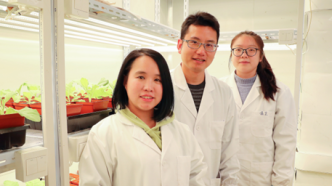 研究近8年“坐穿冷板凳”，中国科学家解析叶绿体基因转录机器构造