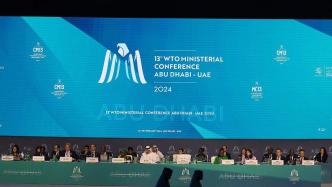 世贸组织第13届部长级会议取得多项务实成果