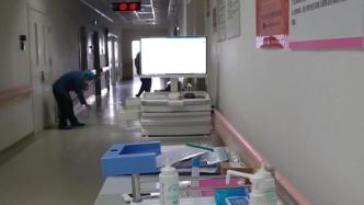 青岛一家医院半个月生486名龙宝宝，远超去年