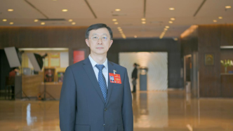 代表建议｜刘勇：建设数智化坚强电网，更好服务“双碳”目标