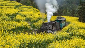 上春山丨坐上四川小火车，赴一场“油菜花海”