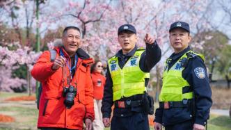 上海“最长樱花节”将至，民警出动无人机做好“护花使者”