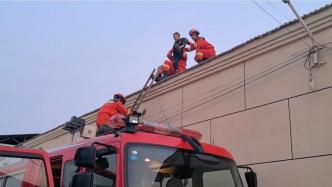 7岁顽童爬上房顶被困，消防架梯救援
