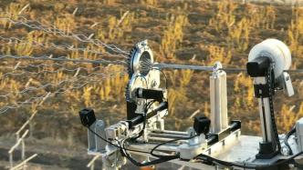 智能机器人20米高空模拟带电更换电力线路防震锤