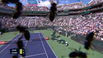 大批蜜蜂入侵网球场，阿尔卡拉斯被蛰无碍取胜