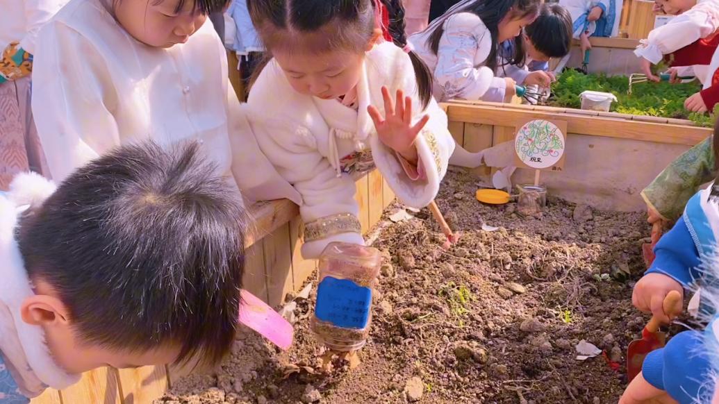 幼儿园举办农耕节，萌娃们挖冬藏、画长卷