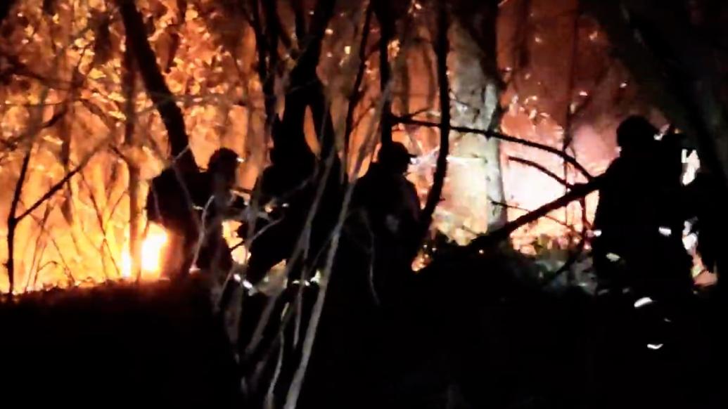 直击云南大理漾濞连夜扑救山火:火势得到明显控制,火场有两条火线