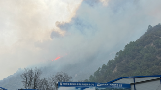 雅江森林火灾救援取得进展：1号火场明火被扑灭