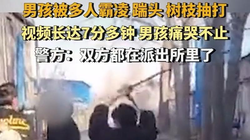 临沂兰山一男孩被多人踹头树枝抽打，警方：参与者正接受调查