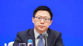 财政部副部长廖岷：中国政府的负债水平是适度的
