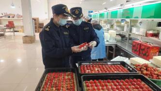 上海青浦“白鹤草莓”首次出口，首批15公斤共36盒